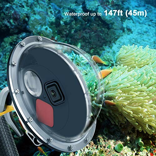 Underwater camera case near coral reef