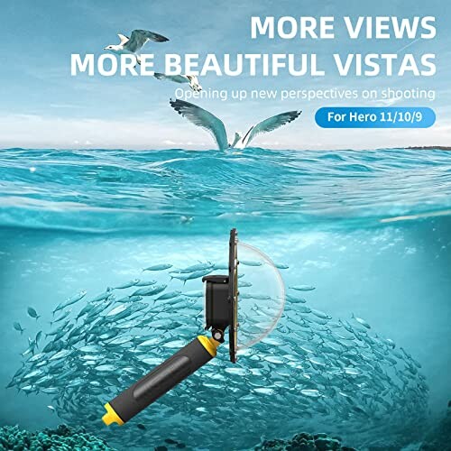 Underwater view with camera dome capturing a school of fish and seagulls above.